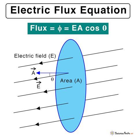 what is the net electric flux through the box|flux of electricity.